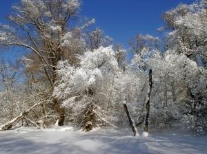 14 февраля 2012 года 14 февраля 2012 года