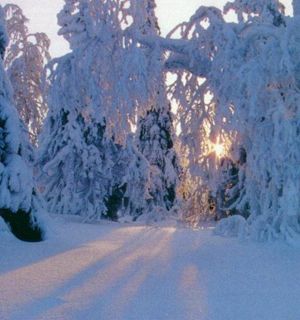 6 декабря 2012 года 6 декабря 2012 года