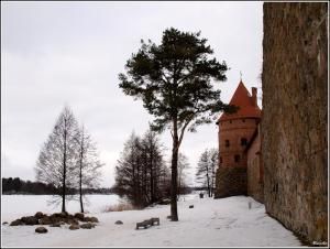 11 февраля 2012 года 11 февраля 2012 года