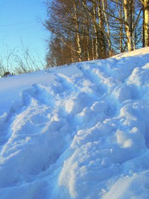 15 февраля 2012 года 15 февраля 2012 года