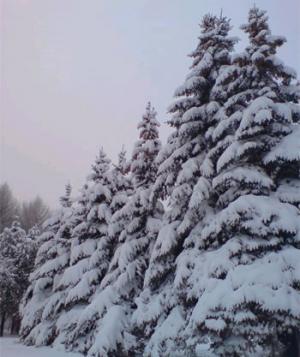12 февраля 2012 года 12 февраля 2012 года