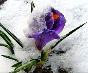 13 апреля 2012 года 13 апреля 2012 года