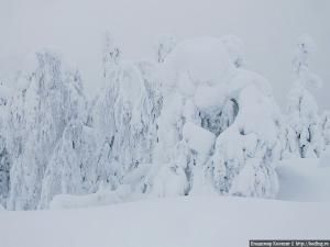 6 февраля 2012 года 6 февраля 2012 года