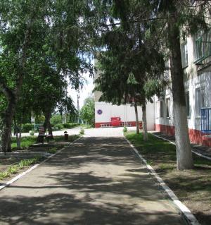 Профессия – милосердие Профессия – милосердие