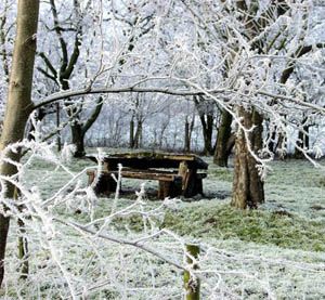 27 ноября 2012 года 27 ноября 2012 года