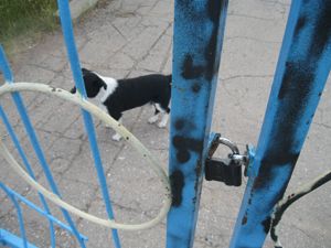 Продать нельзя возродить Продать нельзя возродить