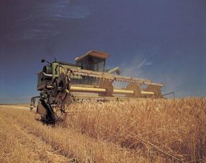 Слушания без слухов Слушания без слухов