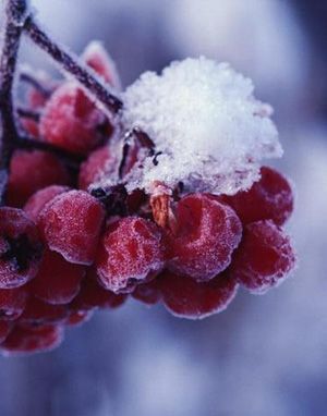 30 ноября 2012 года 30 ноября 2012 года