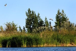 Водообмен улучшит экологию водоёма Водообмен улучшит экологию водоёма