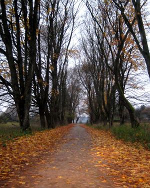 2 ноября 2012 года 2 ноября 2012 года