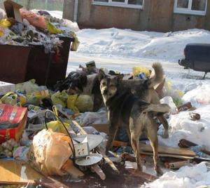 Чисто не там, где убирают Чисто не там, где убирают