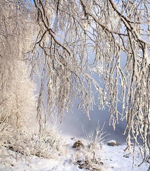 26 декабря 2012 года 26 декабря 2012 года