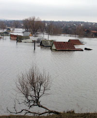Вешние воды чудесные Вешние воды чудесные