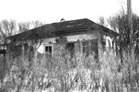 Я достаю из широких штанин Я достаю из широких штанин