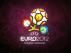 Польша выступила против бойкота Евро-2012 в Украине